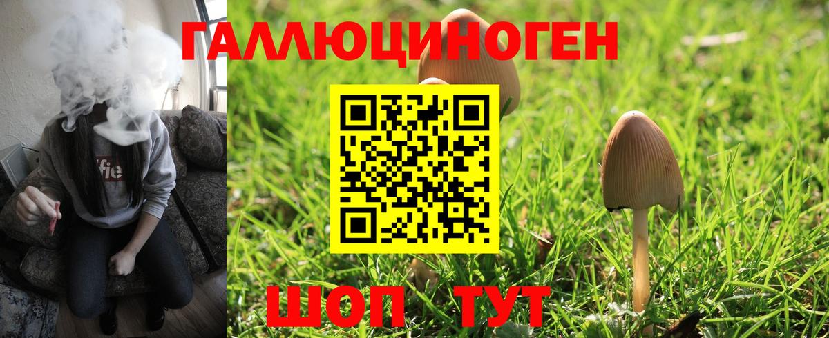 Великий Устюг  Галлюциногенные грибы Cubensis  Вход с VPN  Псилоцибиновые грибы MAGIC MUSHROOMS 